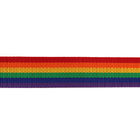 Streifen-Polyester-des gewebten Materials des Regenbogen-T008 Ordnung